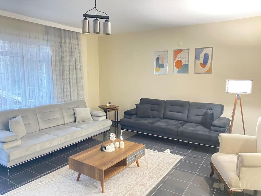 Apartamento Comfy - Spacious Flat On The Kadikoey Seaside Estambul Exterior foto